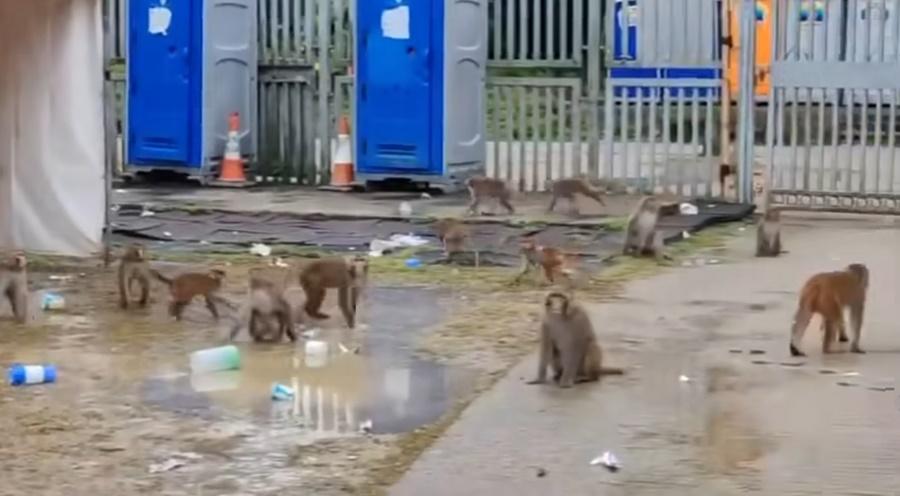 現場地上散落水杯、水樽及桶裝水樽。(飛天中隊@FB)