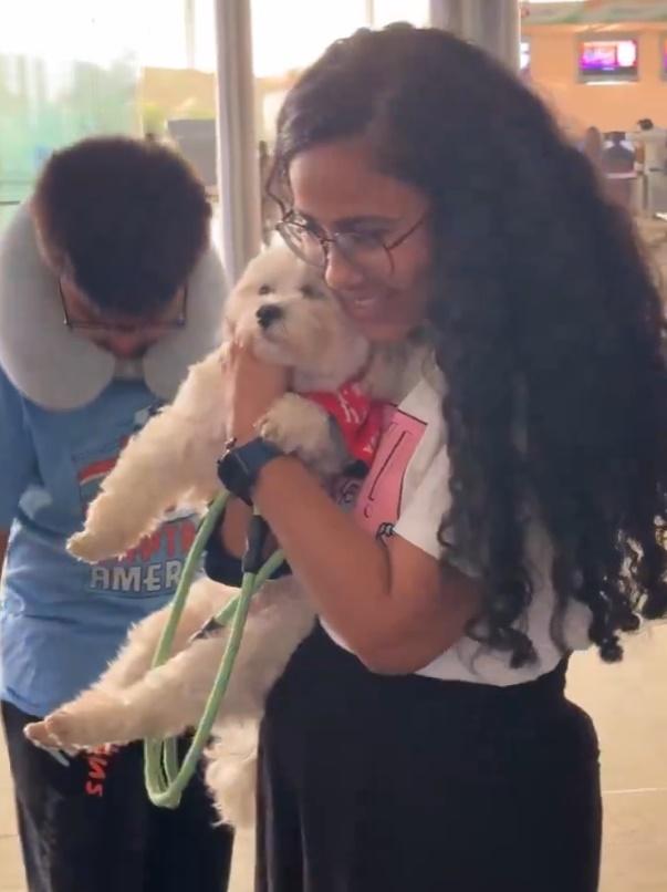 機場分享的影片顯示,多隻可愛狗狗出現在機場,讓乘客撫摸、抱抱。(X)