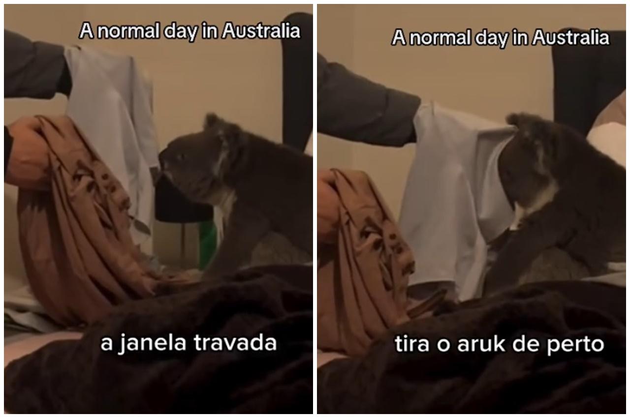 男戶主想借機摸牠時,牠立即伸手反抗。(IG)