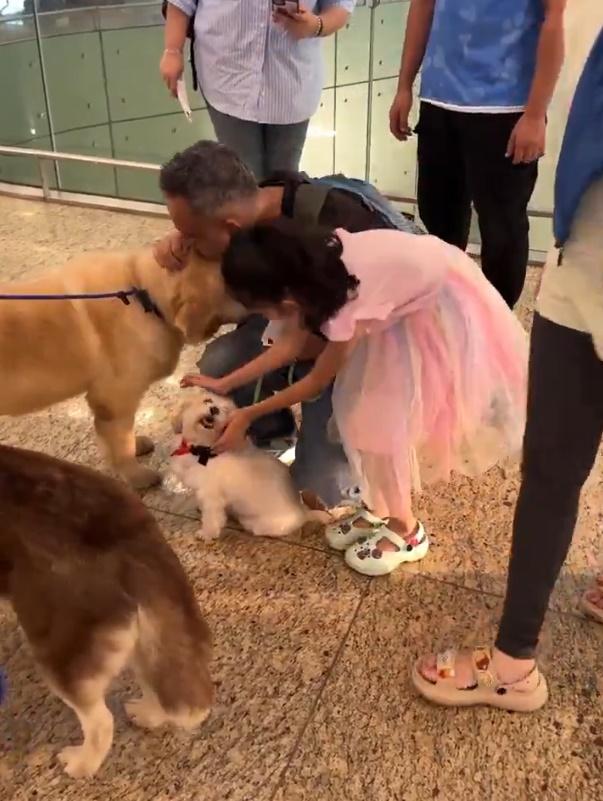 機場分享的影片顯示,多隻可愛狗狗出現在機場,讓乘客撫摸、抱抱。(X)