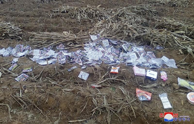 金與正形容南韓這些行為等於在「清潔的家園」中散佈「連狗都不願咬的汙穢之物」。(朝中社)