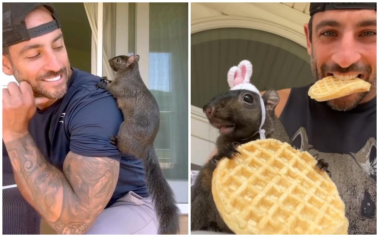 花生不僅聽懂主人呼喚,還經常被作不同打扮,吸引逾50萬粉絲跟隨。(IG)