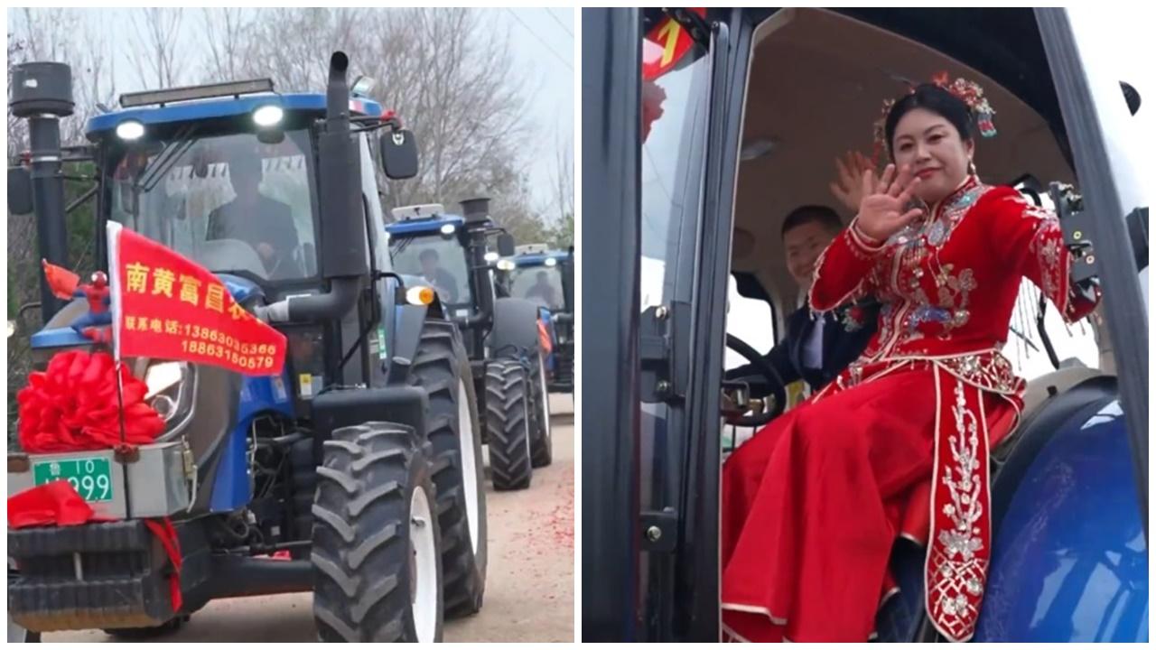 較早前新人由拖拉機花車隊載至現場,但花車隊是合作社贊助。(微博)