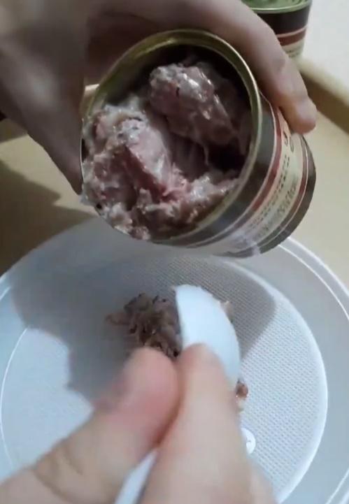 第一段影片,俄兵不知道是甚麼肉,配搭麵包吃掉。(X)