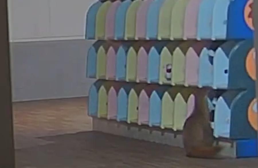 小鼬鼠在鞋櫃裡亂翻約10秒,便叼著一隻白色鞋,飛快地離開。(X)