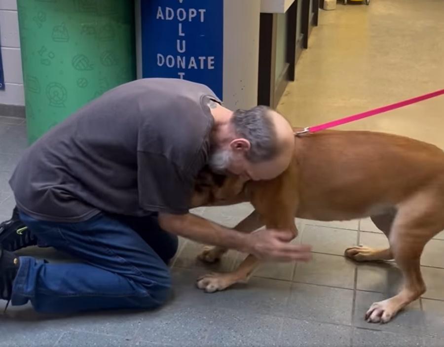 Minnie認出熟悉的聲線,開心暴衝到主人身邊又撞又 跳,尾巴猛力搖擺,發出嚶嚶叫聲。(FB)