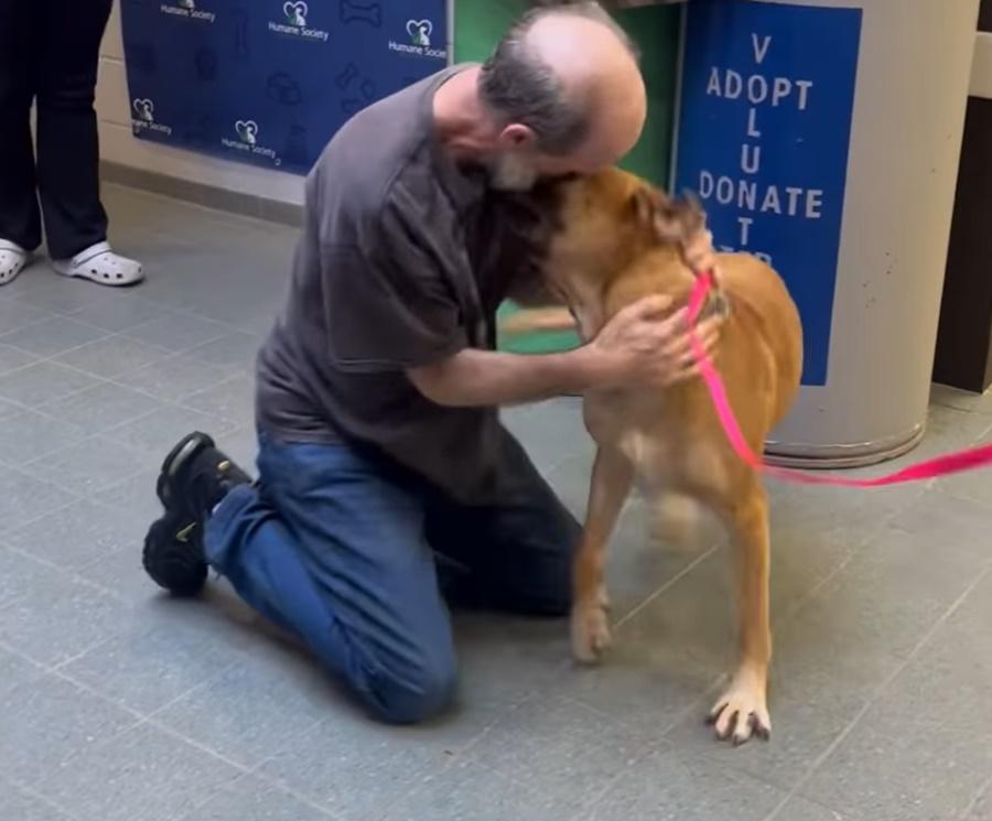 Minnie認出熟悉的聲線,開心暴衝到主人身邊又撞又 跳,尾巴猛力搖擺,發出嚶嚶叫聲。(FB)