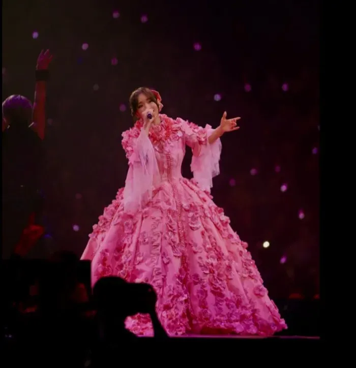 粉紅公主裙內藏秘密。