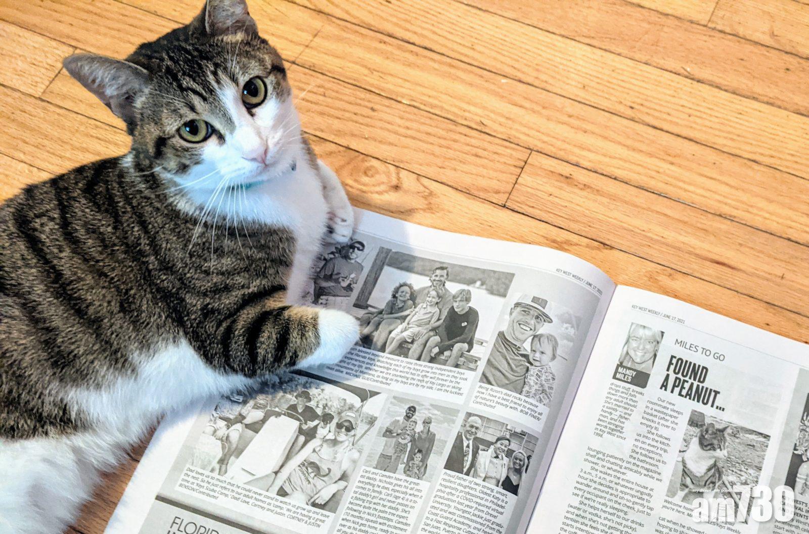 潮流興「躺平」,保存報紙的最佳方法也是平放,如果空間不夠,可以摺一下