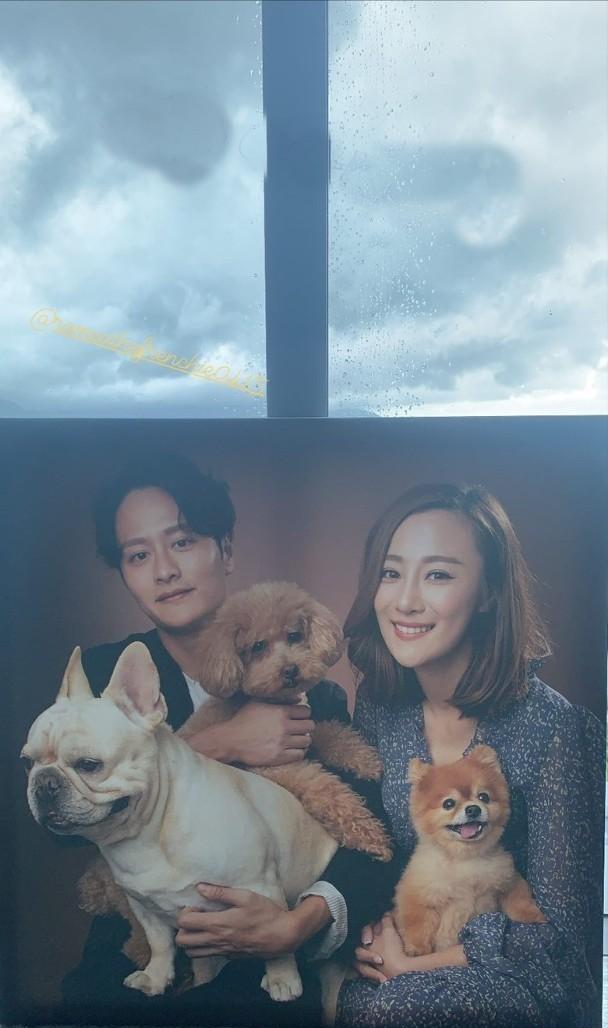 謝東閔與朱智賢過往透過愛犬隔空傳情。