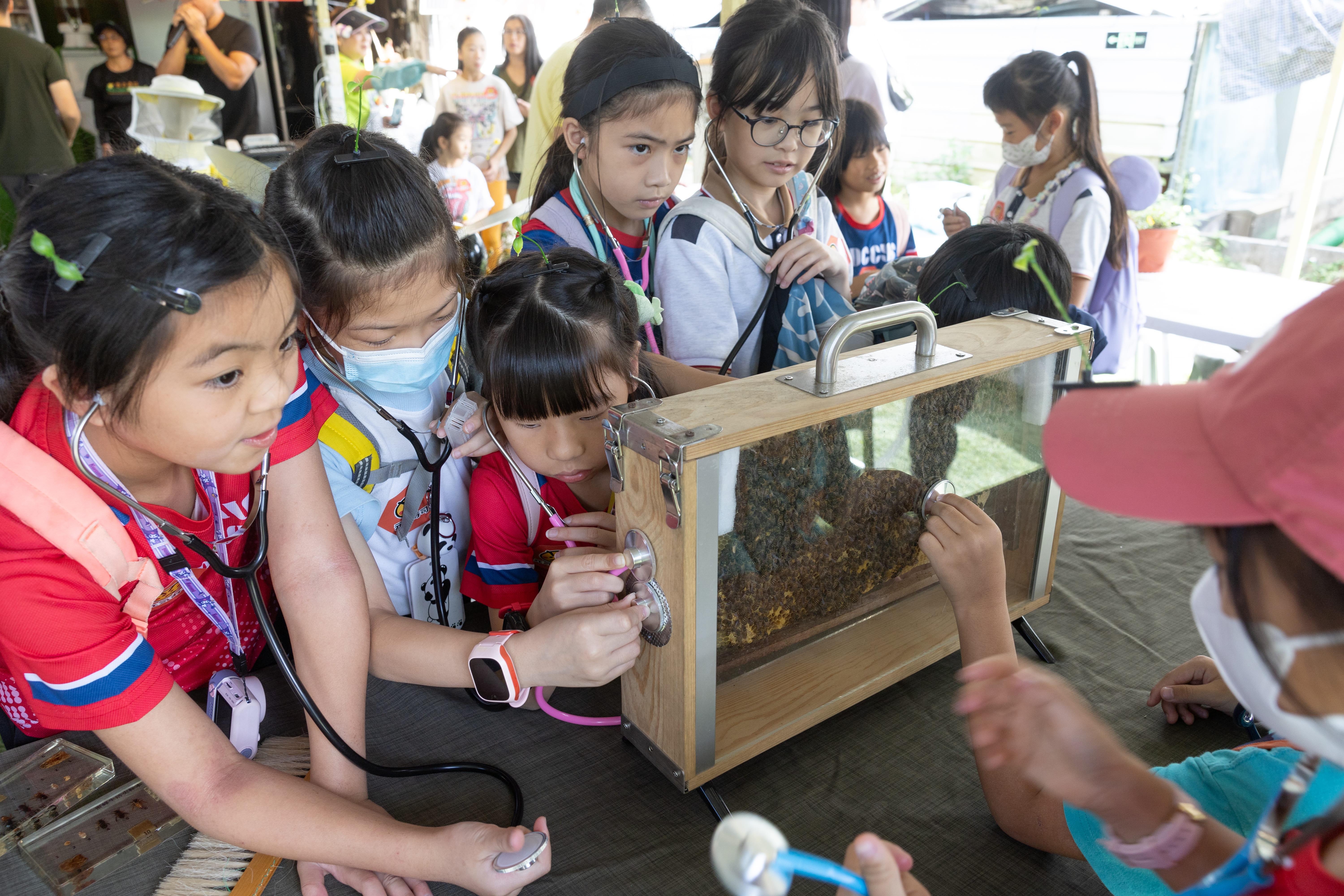 小朋友們透過聽覺、觸覺等五感來觀察蜜蜂,深入了解蜜蜂的生態。