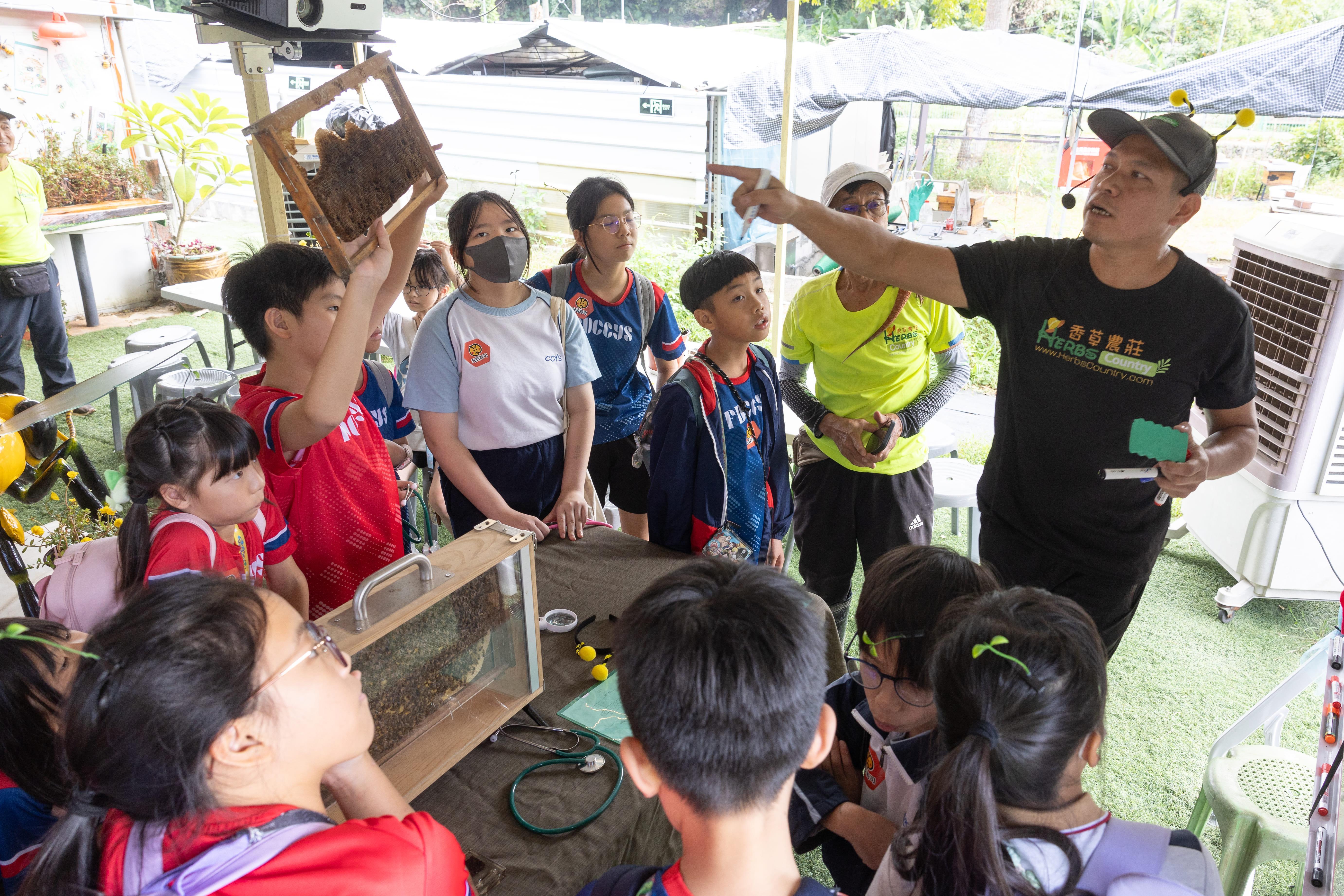 小朋友們透過聽覺、觸覺等五感來觀察蜜蜂,深入了解蜜蜂的生態。