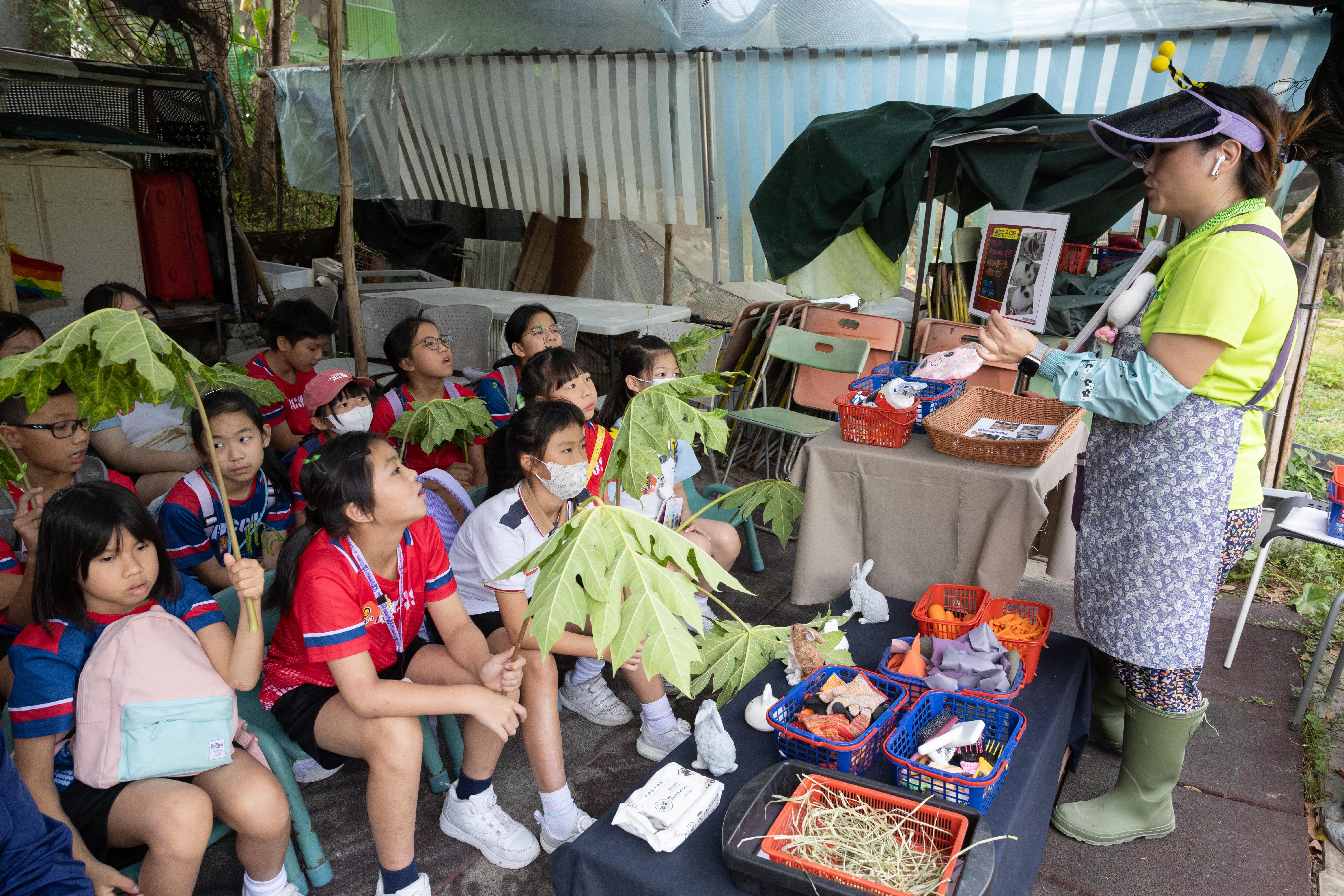 在與可愛的小動物互動前,小朋友們需先掌握基本注意事項,以免令小動物受傷。