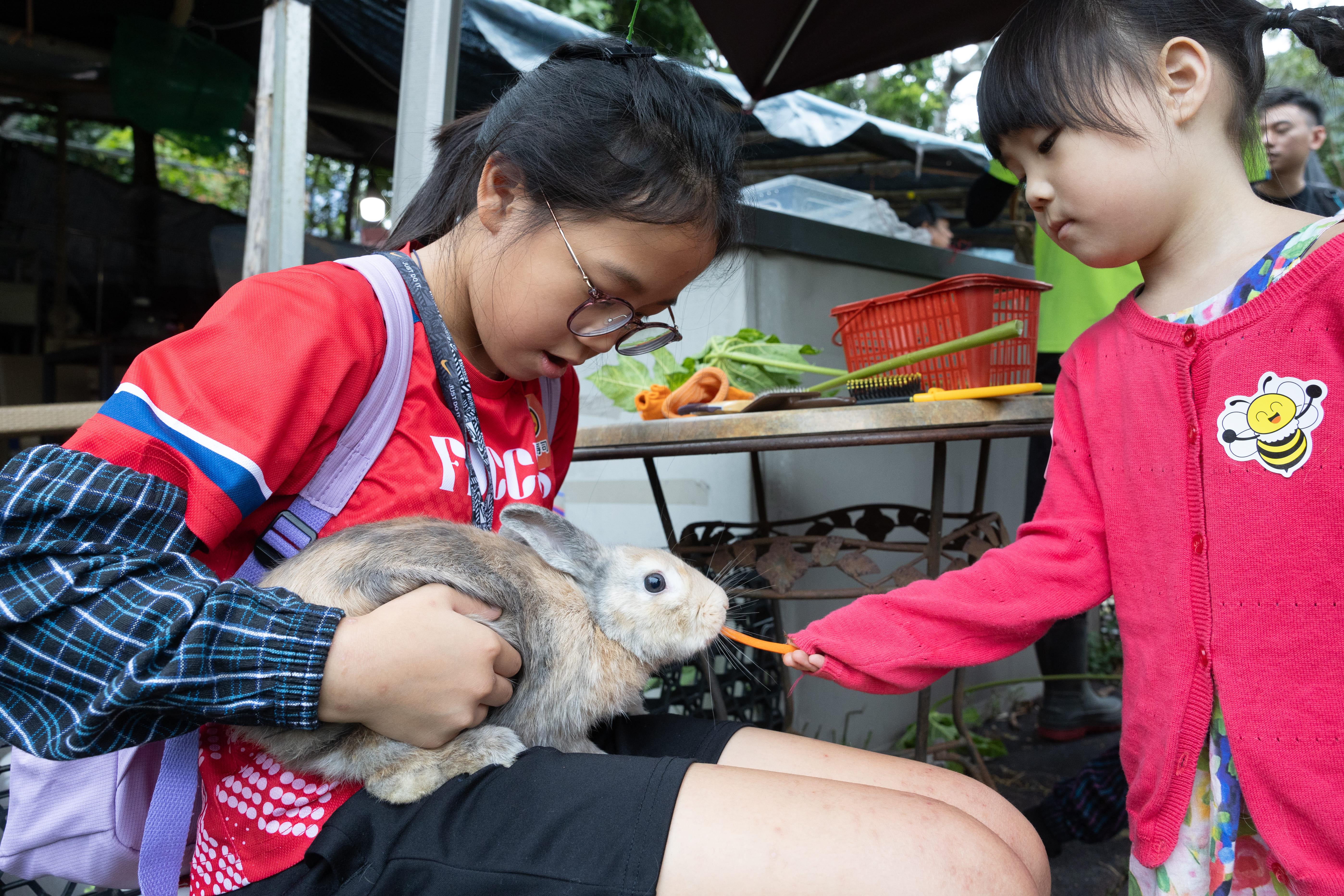 通過親手餵飼兔子,藉此學習各種動物與大自然之間密不可分的關係,以及不同物種如何達至互惠互利的效果,更能培養小朋友的同理心和責任感。
