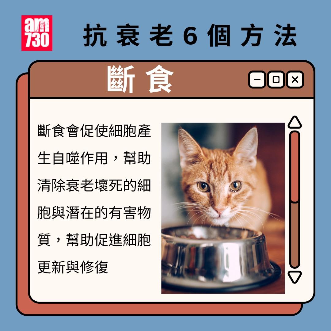 抗衰老6個方法,阻止斷層式衰老|斷食(am730製圖)