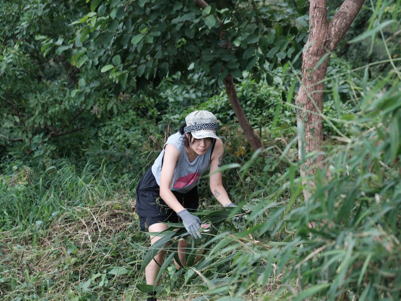 在叢林割草剪枝,逐漸熟悉各類野草的特性。