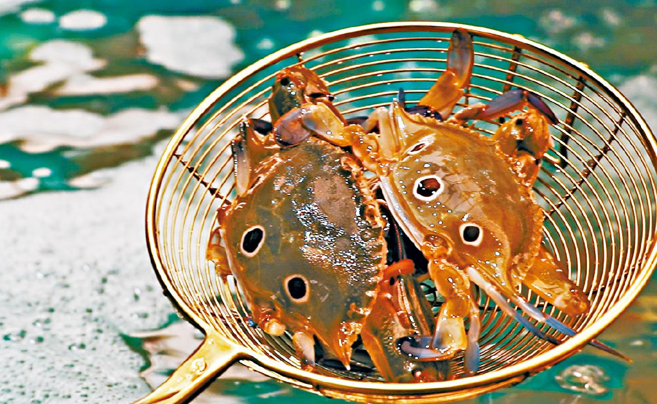 千海水產荃灣分店