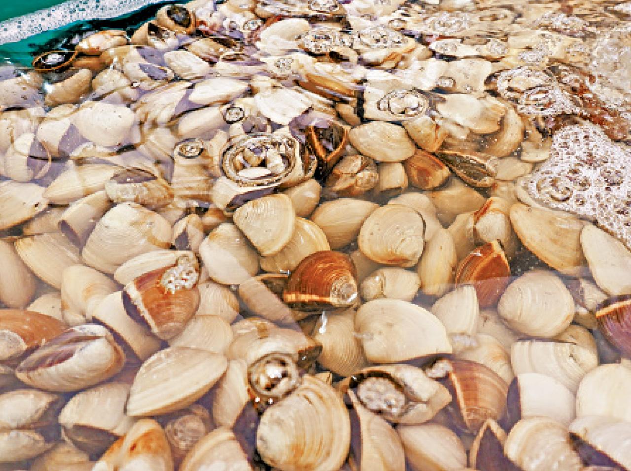 千海水產荃灣分店