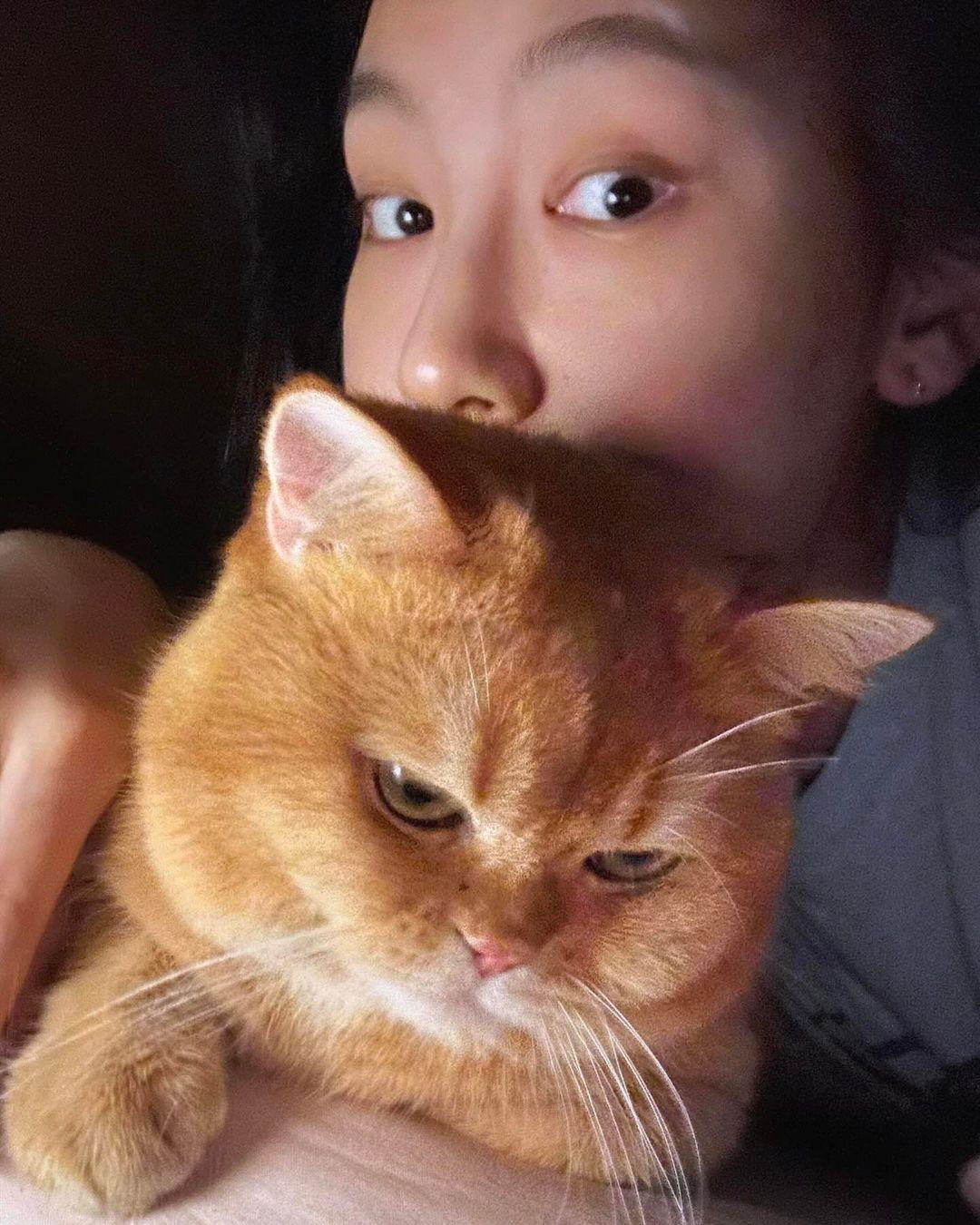 炎三科是炎明熹的愛貓。