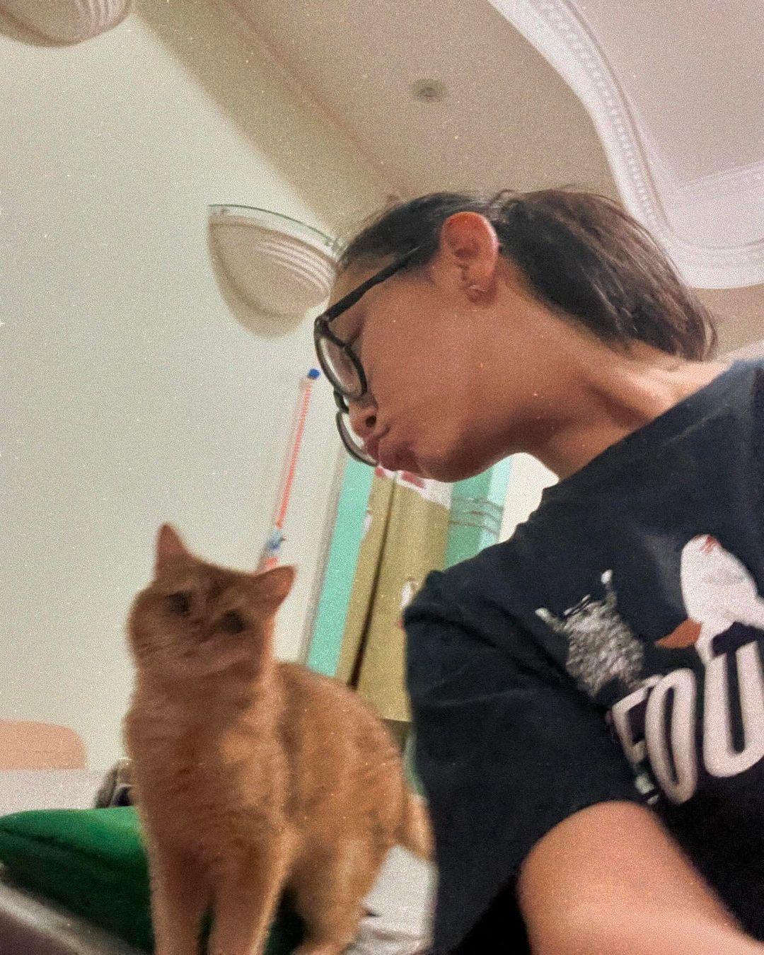 炎三科是炎明熹的愛貓。