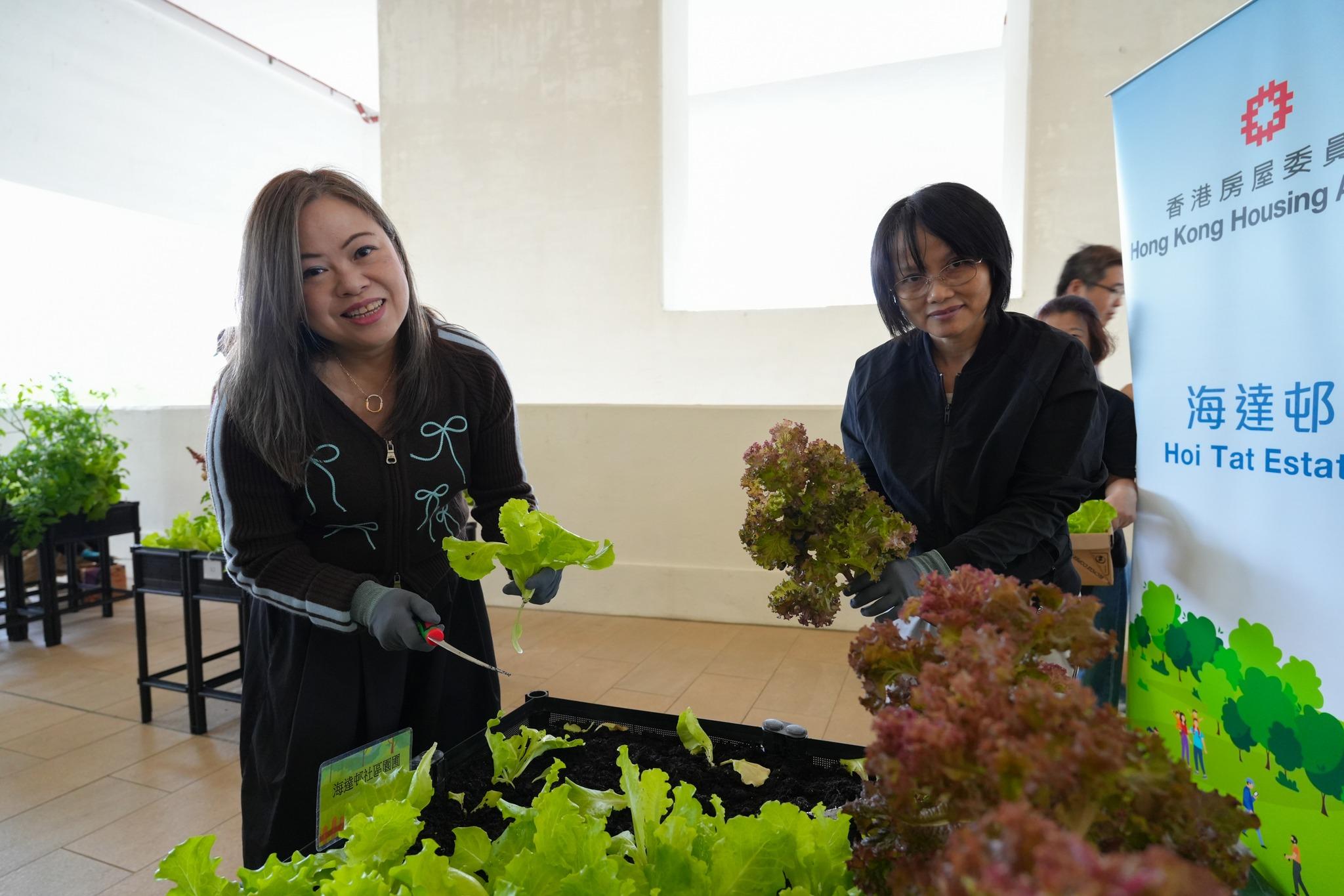 羅淑佩(左)參與海達邨社區園圃收成日。(何永賢FB)