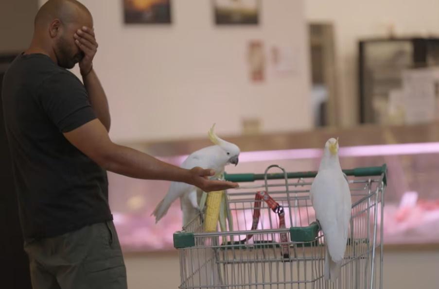 Ravi開始餵Old Lady Doris吃零食,吸引了Mickey靠近。(X)