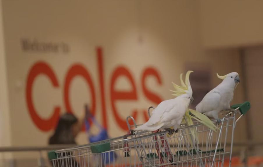 Mickey得快留意到Old Lady Doris。(X)