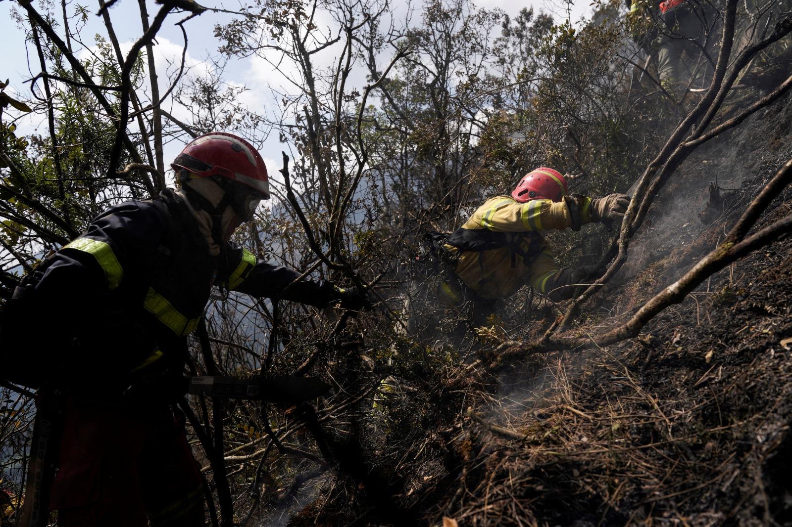 厄瓜多爾山火,過去幾周燒毀約1萬200公頃的森林土地。(路透社)