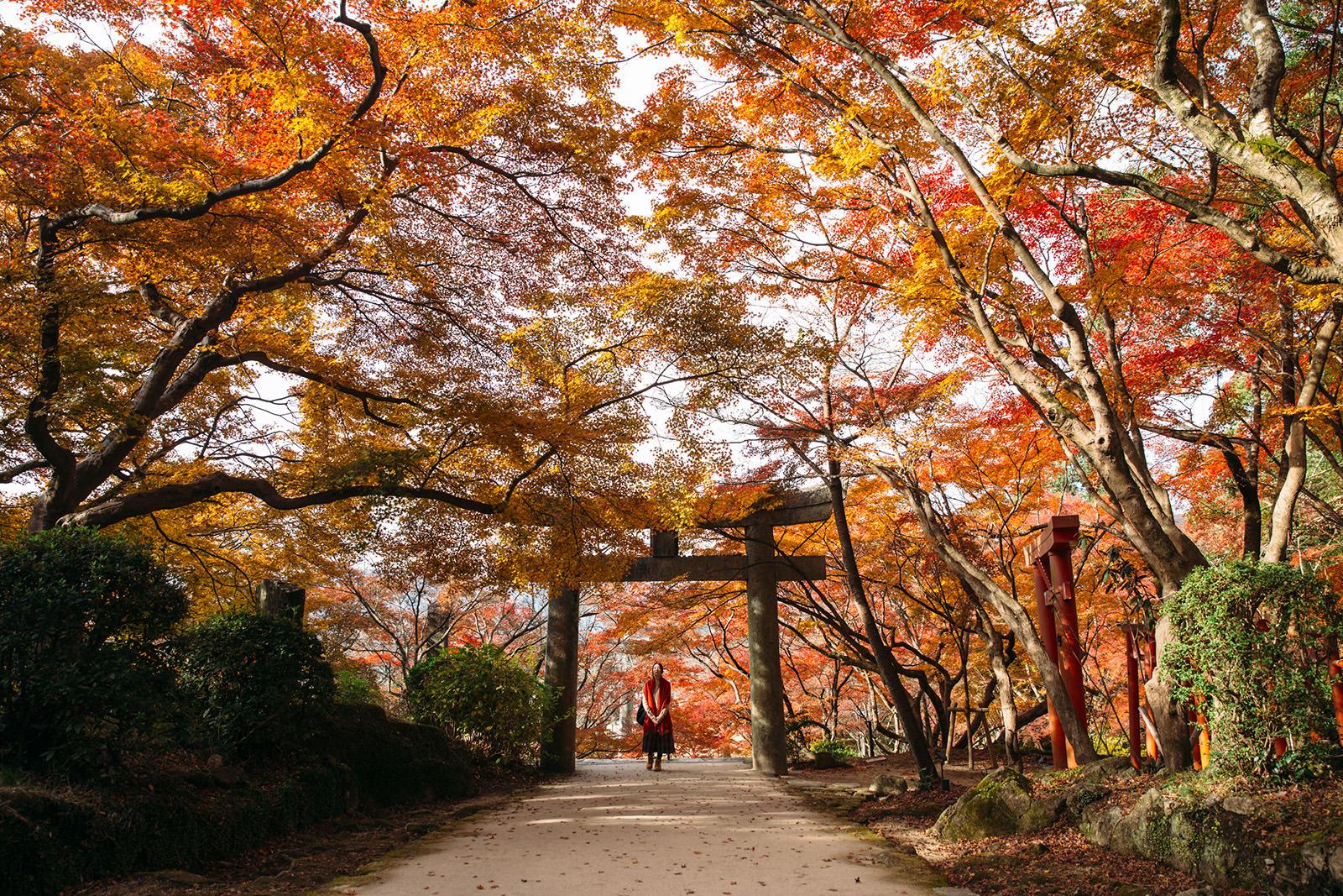 福岡的寶滿宮竈門神社位於太宰府,以結緣而聞名,不少鬼滅迷會在秋日紅葉季來朝聖。(照片來源:宝満宮 竈門神社)
