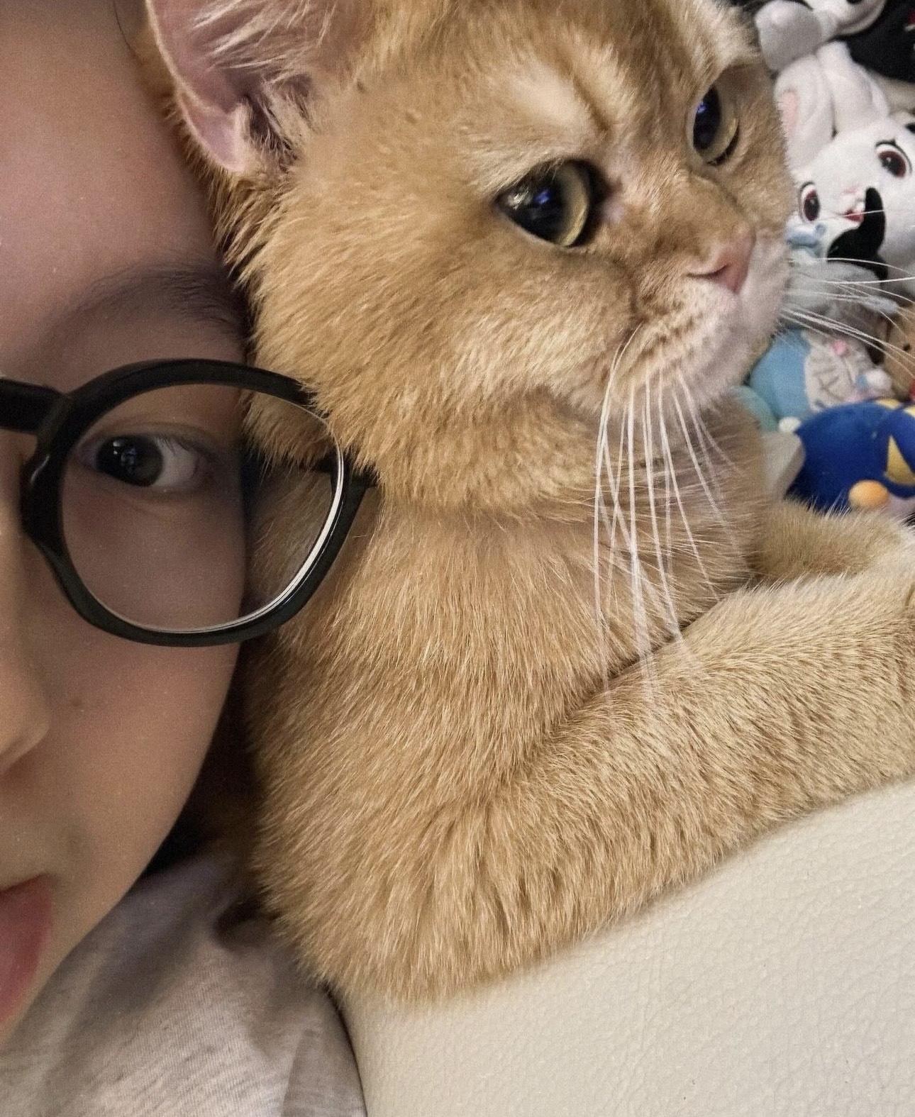 近日被打入冷宮的炎明熹,將大部份時間寄情於愛貓上。