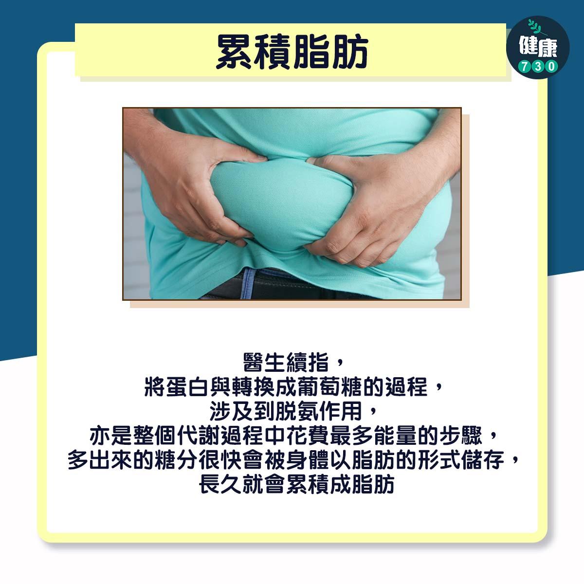 食太多蛋白質身體會有3大問題|累積脂肪(am730製圖)