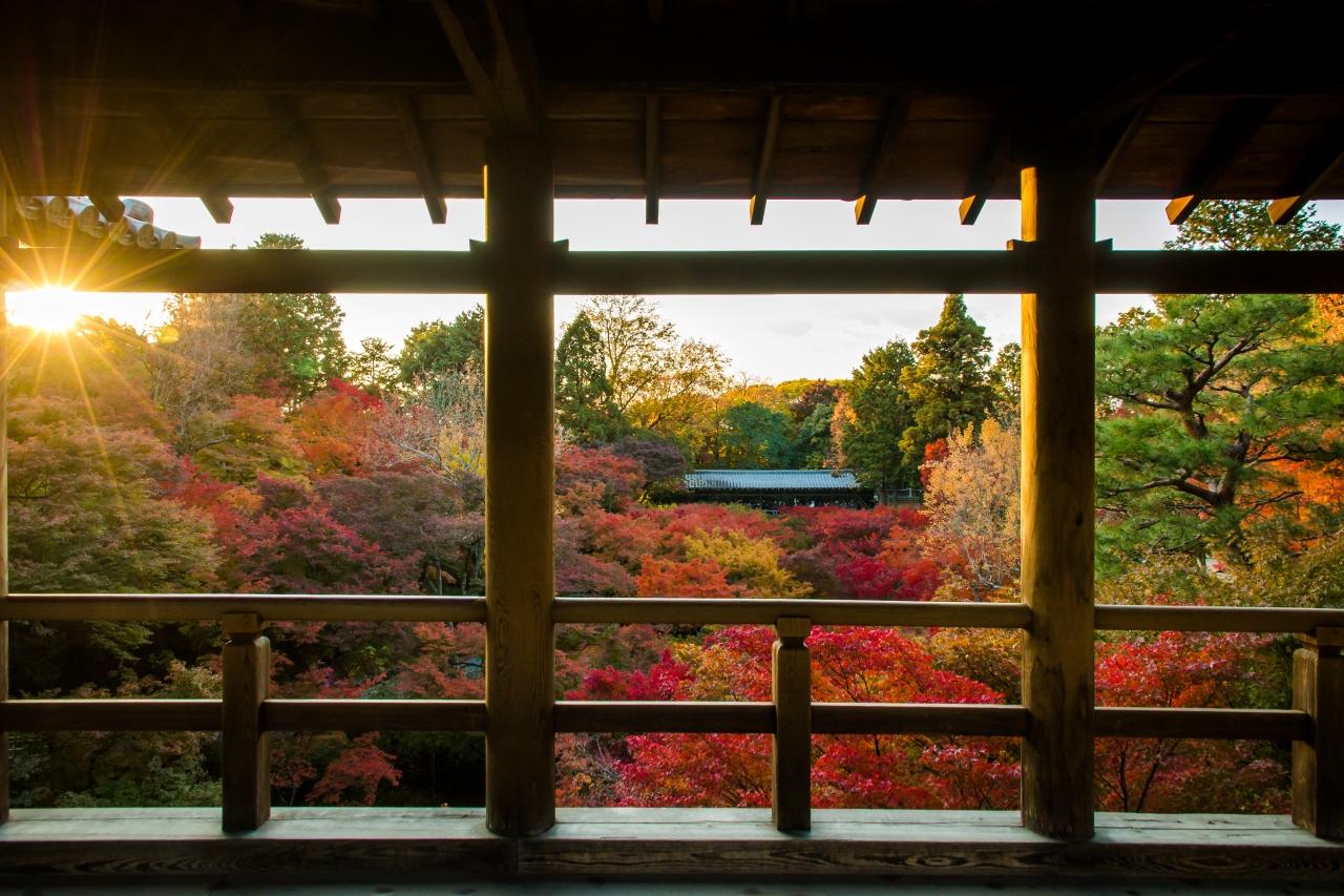來到京都東福寺可直衝紅臥雲橋、洗玉澗及通天橋等紅葉集中地,建議大家不妨一早人潮較少的時候到訪。(照片來源:istock)