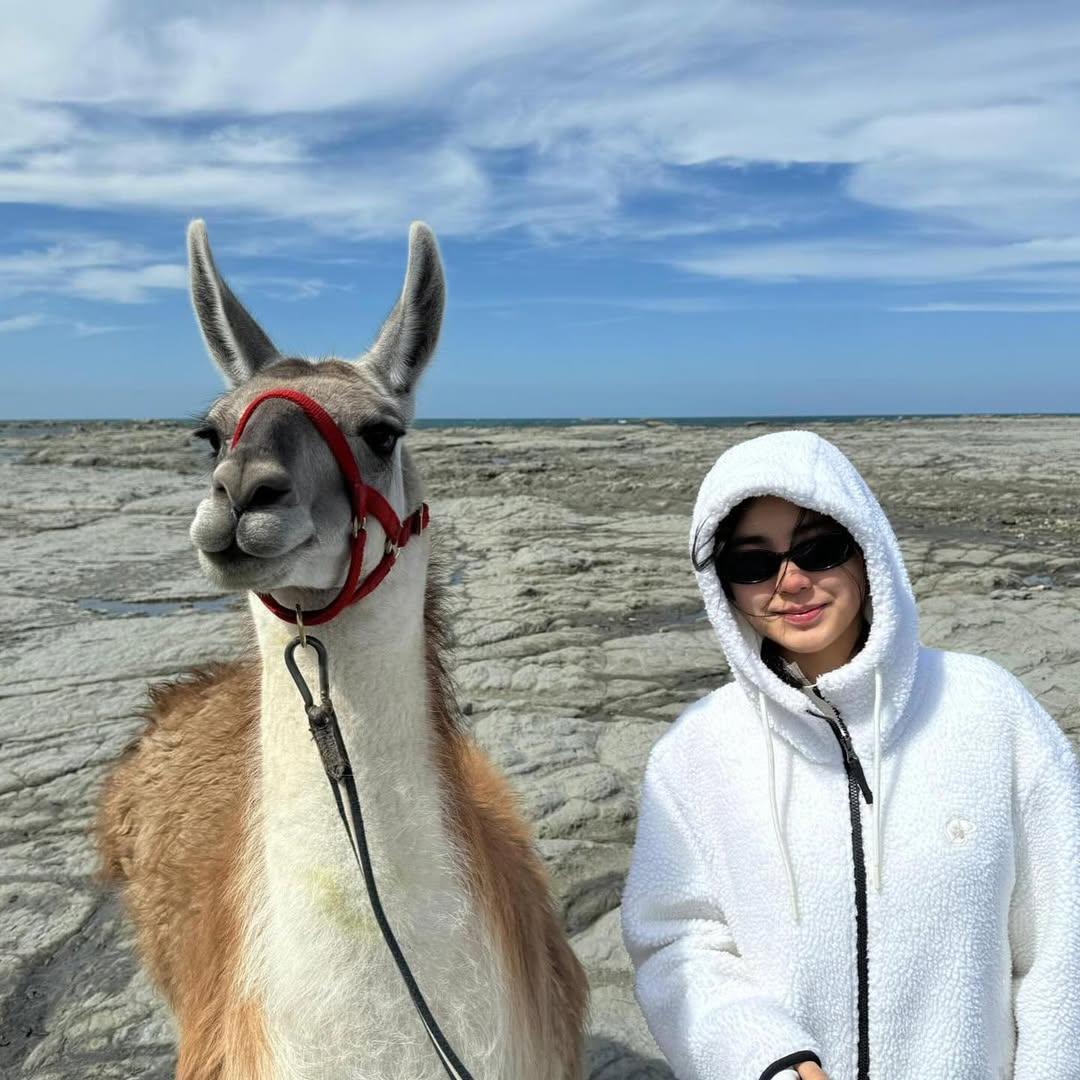 手拖羊駝,Chantel玩得相當開心。