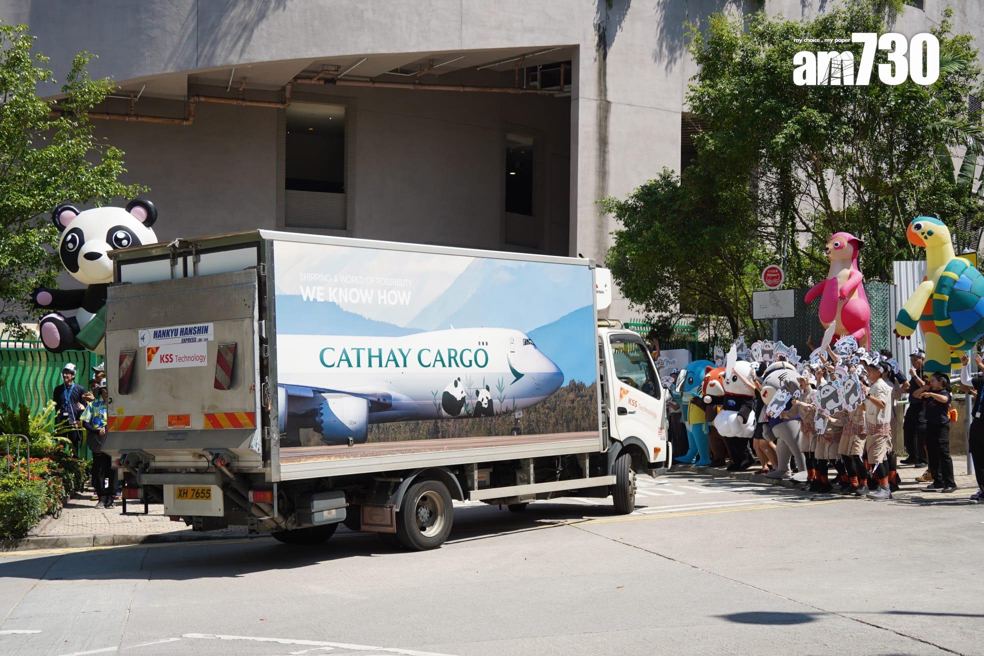 中央贈港大熊貓「安安」和「可可」將於12.8日與市民見面。(資料圖片)