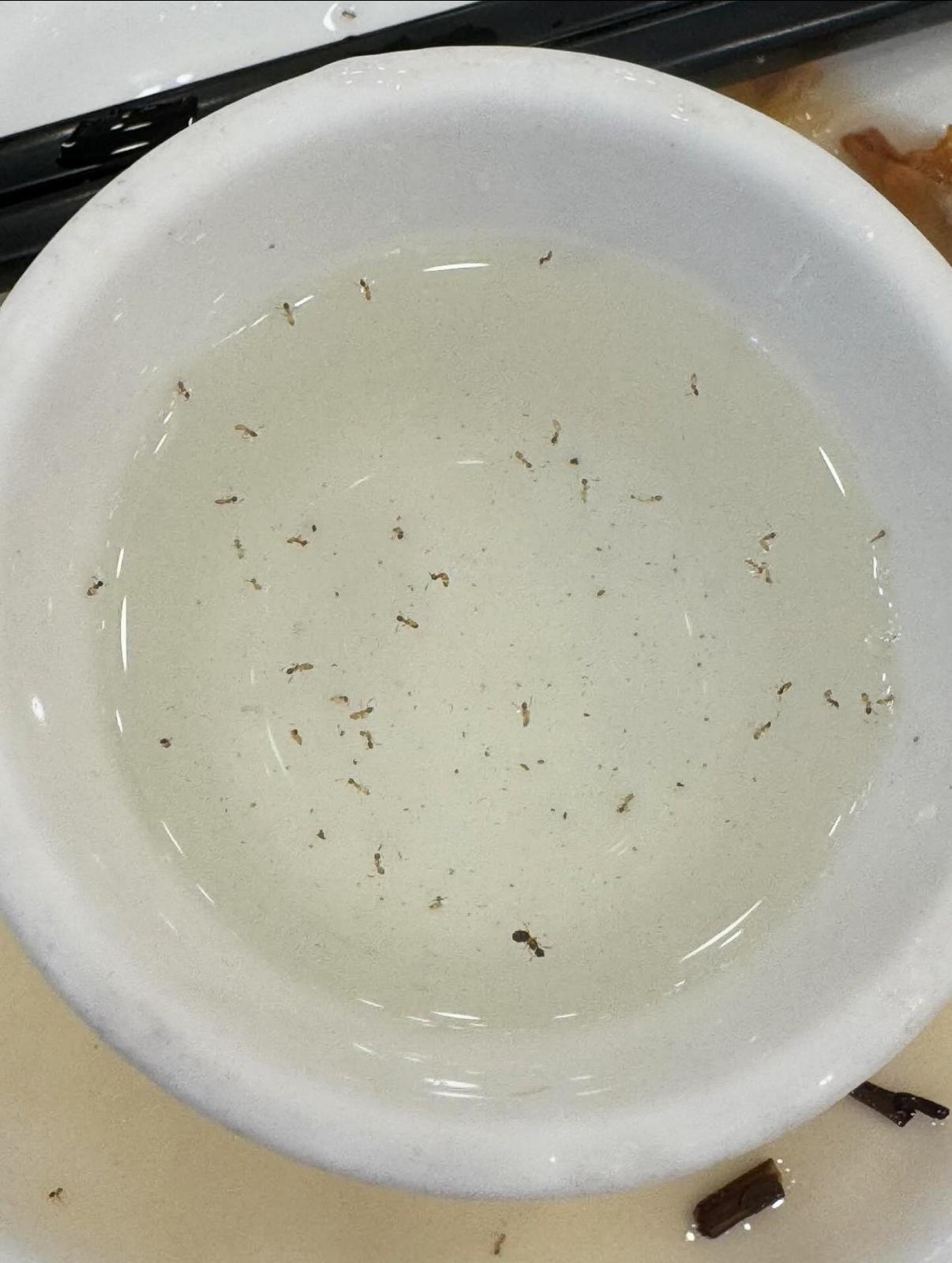 圖片來源:Threads