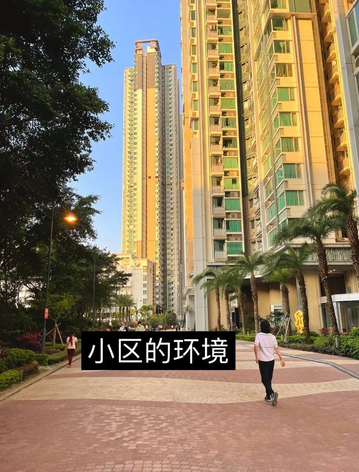 圖片來源:小紅書