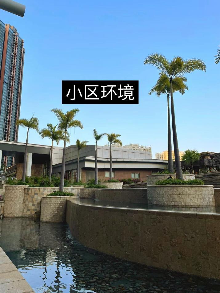 圖片來源:小紅書