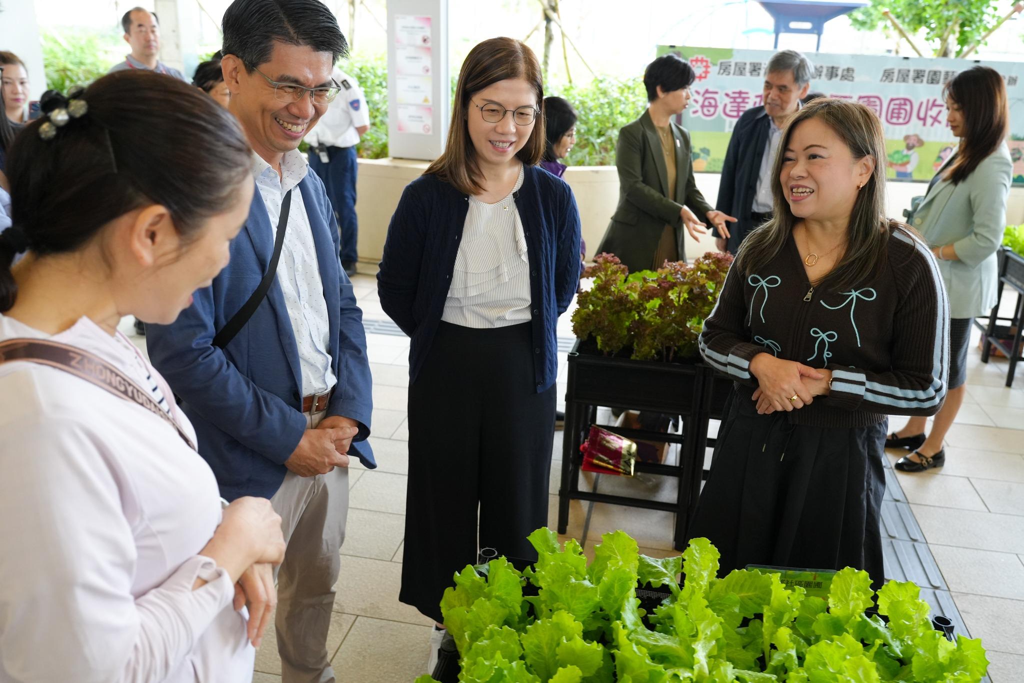 羅淑佩(右一)喺海達邨社區園圃收成日同居民交流。(何永賢FB)