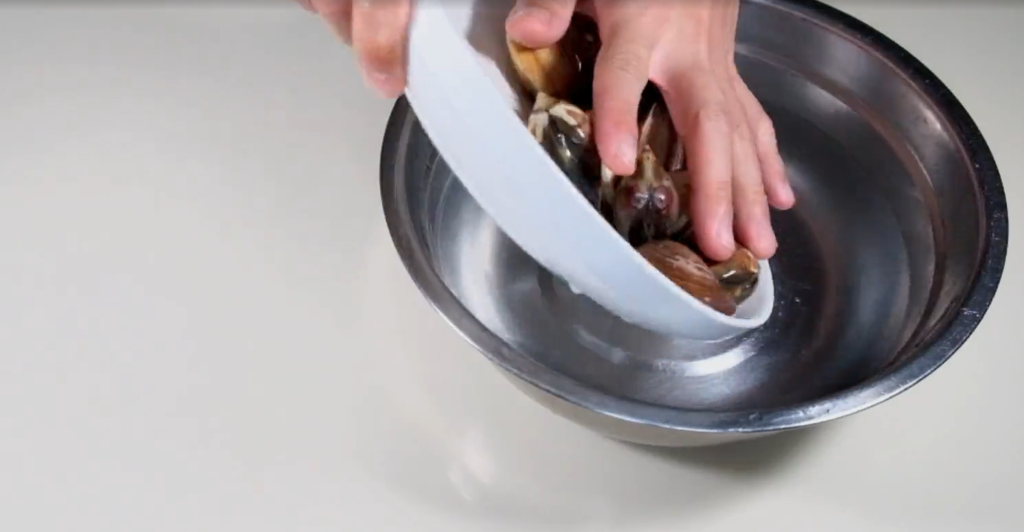 蜆類處理方法,先用容器裝水放少許的鹽讓蜆吐沙