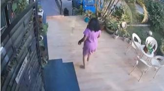 狗狗追出去,女主人喝止。(互聯網)