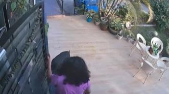 女主人把狗狗叫回屋裡。(互聯網)