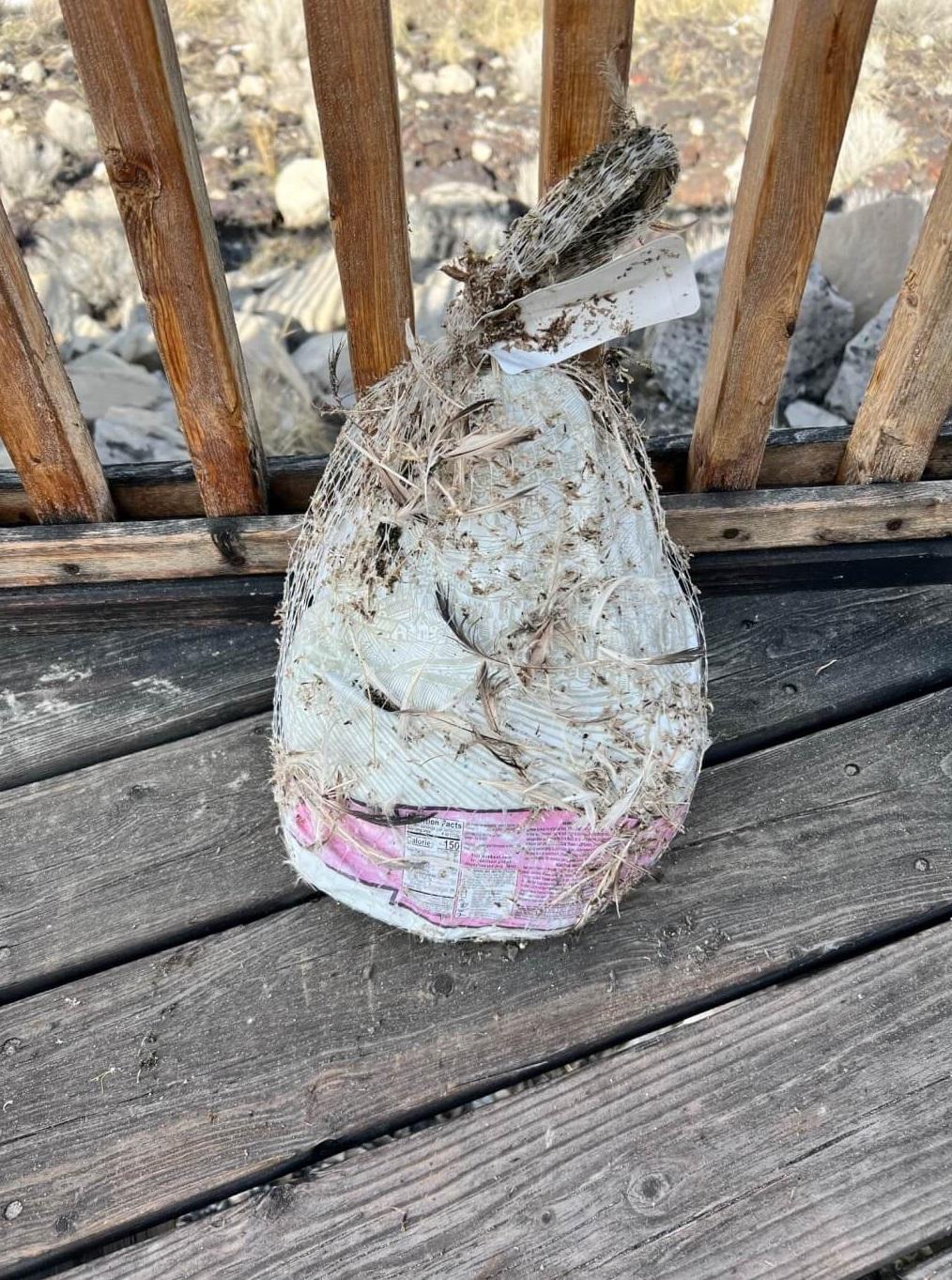 猶他州大鹽湖管理當局貼出火雞屍骸照,包裝未拆,上面還沾著一些草和泥土。(互聯網)