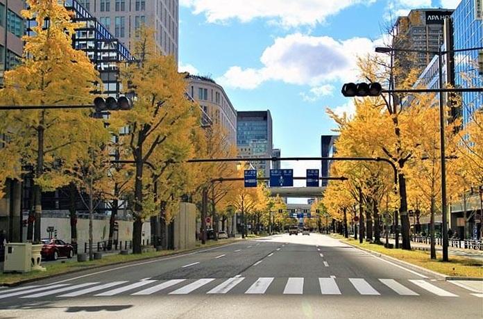 大阪御堂筋已實施路上吸煙禁令。(互聯網)