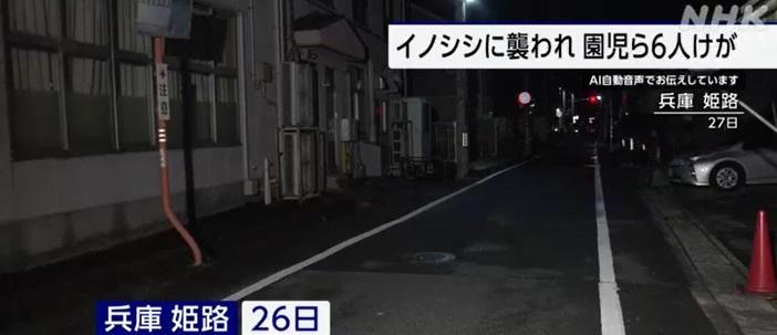 野豬襲擊居民現場。(互聯網)