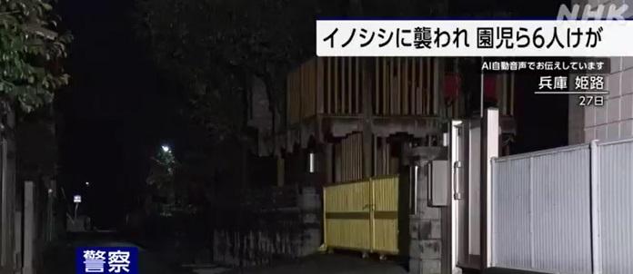 野豬在幼稚園外襲擊學童。(互聯網)