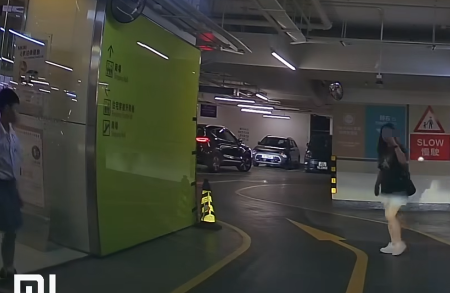 車主隨即響號示意表不滿,此時一位成年女子「施施然」入鏡,先是斥責兩童,及兩度手勢示意向車主道歉 「車cam L(香港群組)」