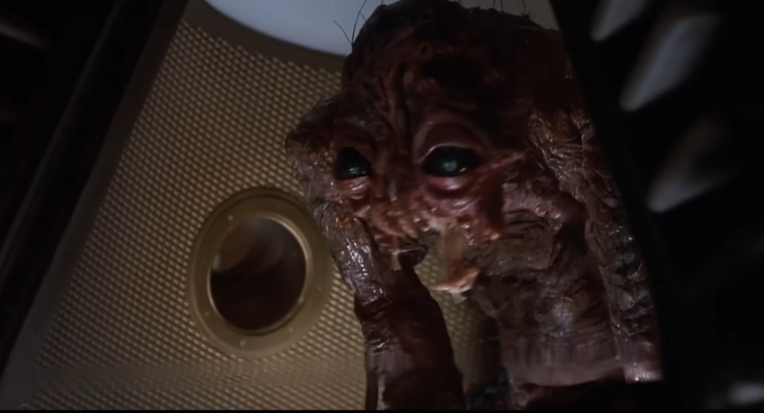 科學家意外將自己體內注入烏蠅基因,結果身心出現變化,爛面、感官敏銳,甚至同烏蠅一樣噴出酵素消化食物再吸收,最後更大開殺戒。