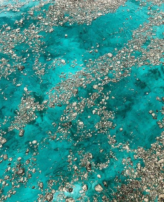 2013年,澳洲沿岸海灘發現大量短尾水薙死亡,專家相信,飢餓的短尾水薙因誤食海上的火山浮石致命。(互聯網)