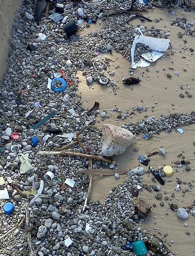 2013年,澳洲沿岸海灘發現大量短尾水薙死亡,海灘上發現火山浮石。(互聯網)