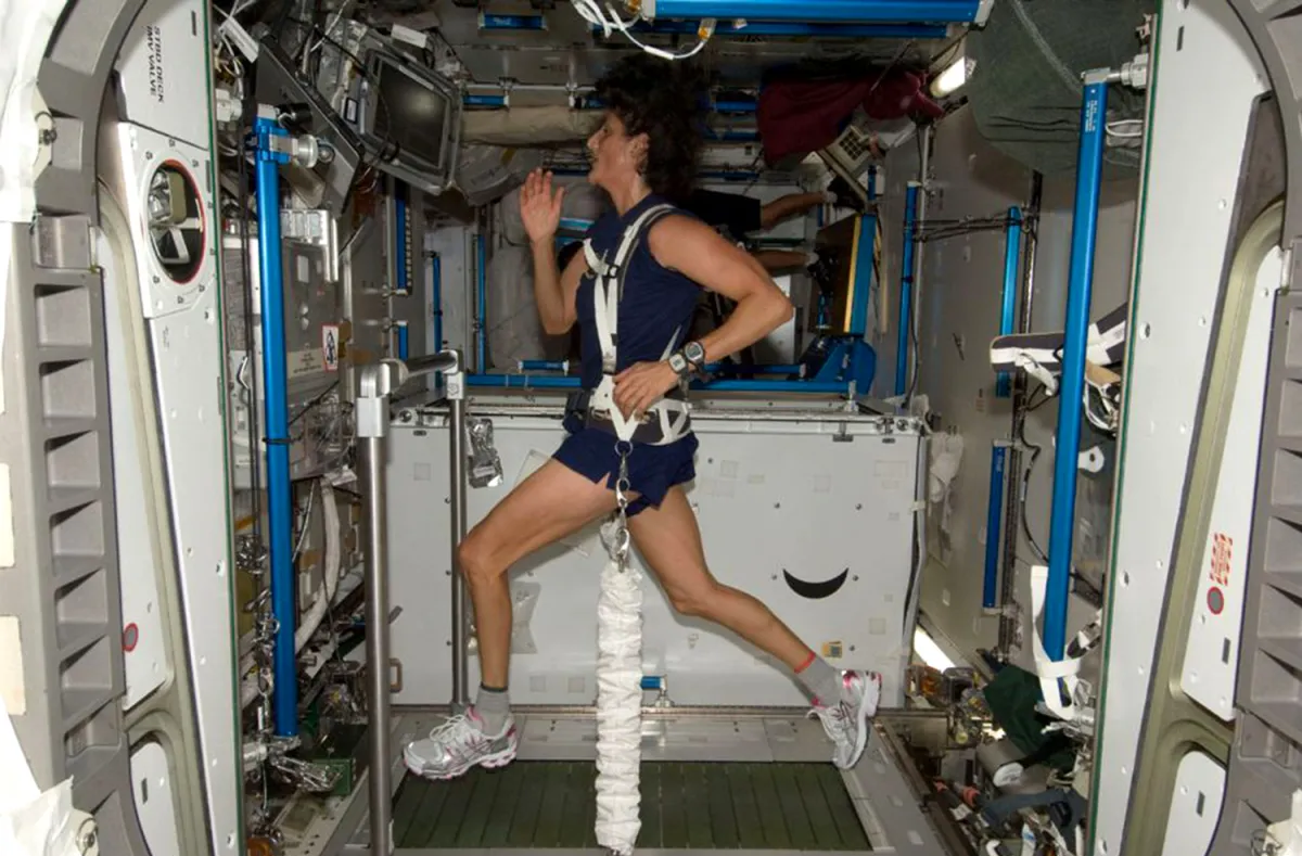 威廉斯之前的照片。(互聯網)